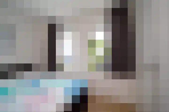 Zwitserlandstraat 75 De Lier thumbnail 14