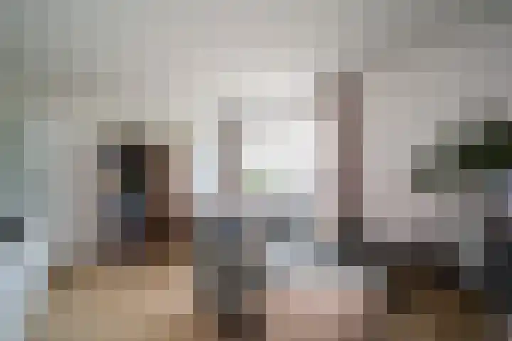 Zwitserlandstraat 75 De Lier thumbnail 4