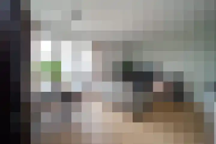 Zwitserlandstraat 75 De Lier thumbnail 5