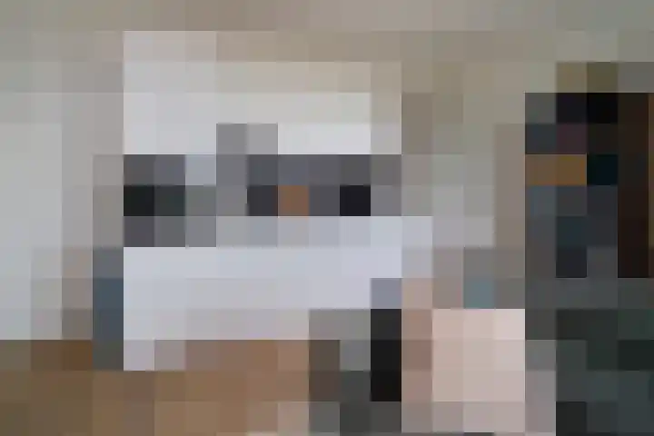 Zwitserlandstraat 75 De Lier thumbnail 8