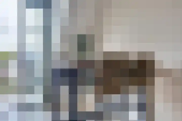 Zwitserlandstraat 89 De Lier thumbnail 12