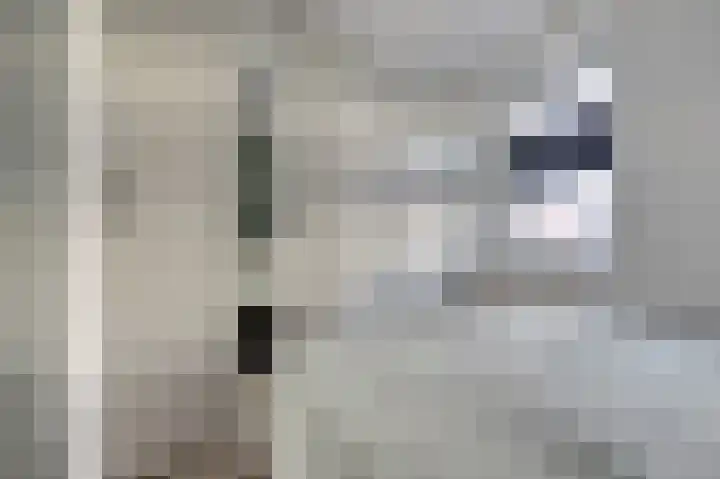 Zwitserlandstraat 89 De Lier thumbnail 14