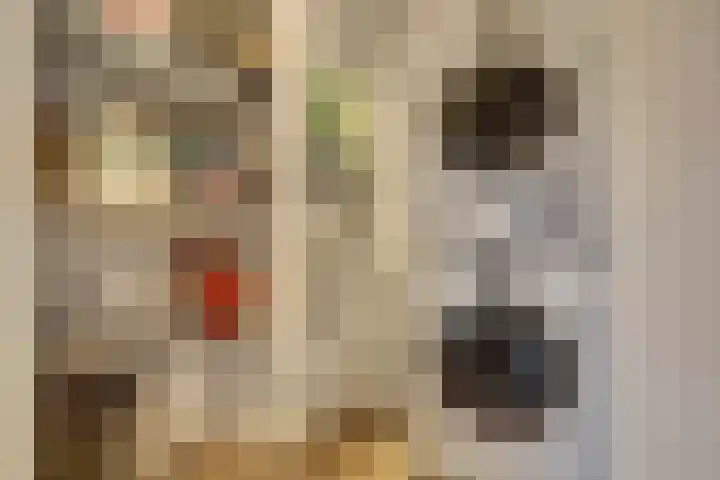Zwitserlandstraat 89 De Lier thumbnail 16