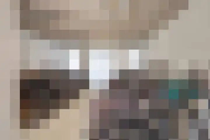 Zwitserlandstraat 89 De Lier thumbnail 18