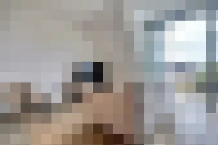 Zwitserlandstraat 89 De Lier thumbnail 8
