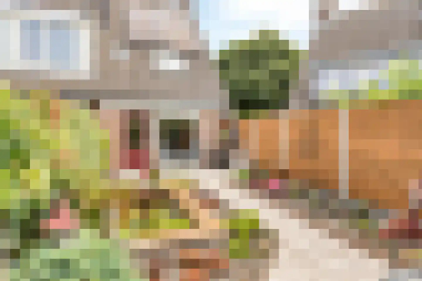 Zwitserlandstraat 9 Bergen op Zoom thumbnail 24