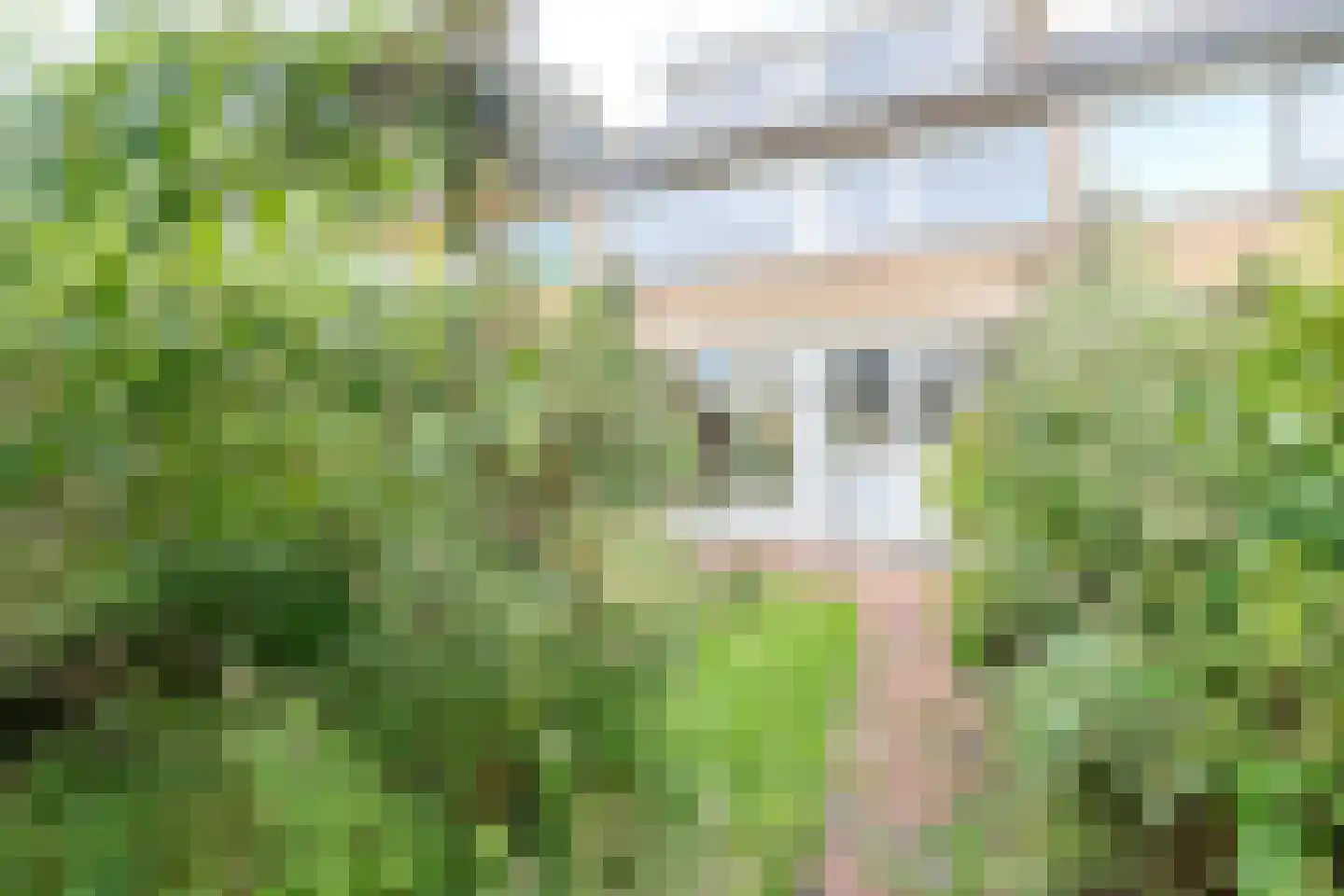 Zwitserlandstraat 94 Haarlem thumbnail 28