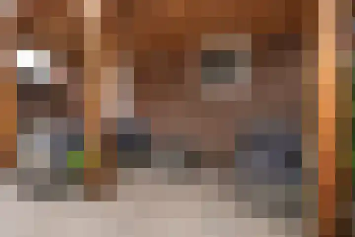 Zwollestraat 1 's-Hertogenbosch thumbnail 23
