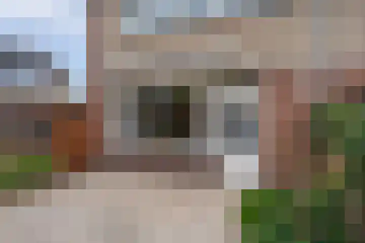 Zwollestraat 1 's-Hertogenbosch thumbnail 24