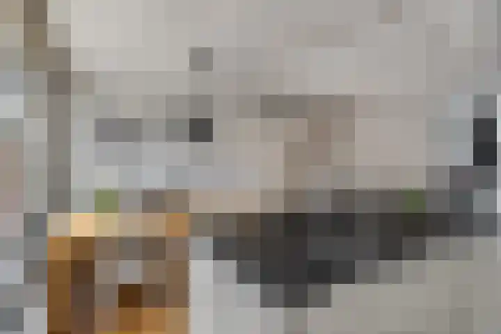 Zwollestraat 1 's-Hertogenbosch thumbnail 6