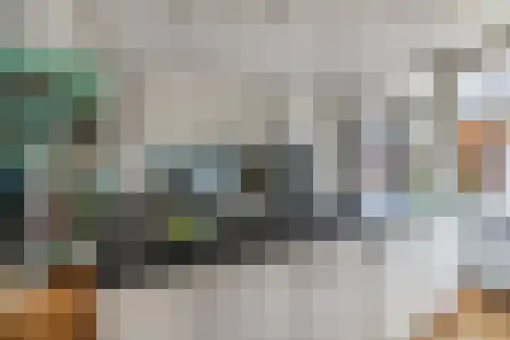 Zwollestraat 1 's-Hertogenbosch thumbnail 7