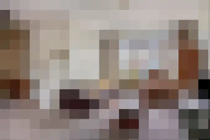 Zwollestraat 12 's-Hertogenbosch thumbnail 7