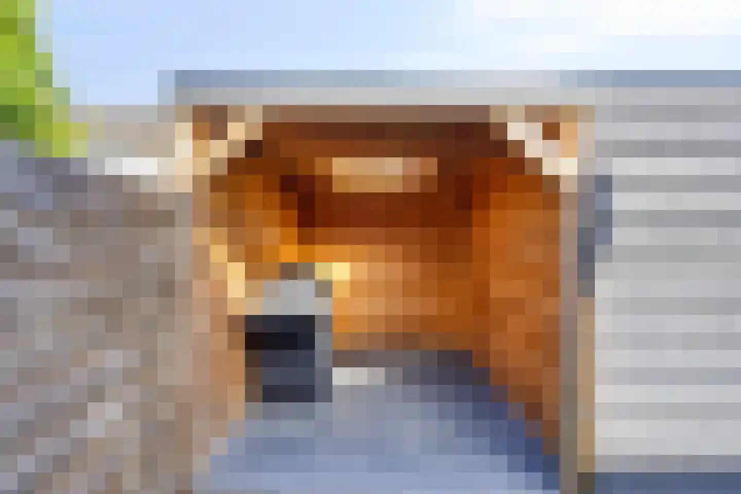 Zwollestraat 18 's-Hertogenbosch thumbnail 33