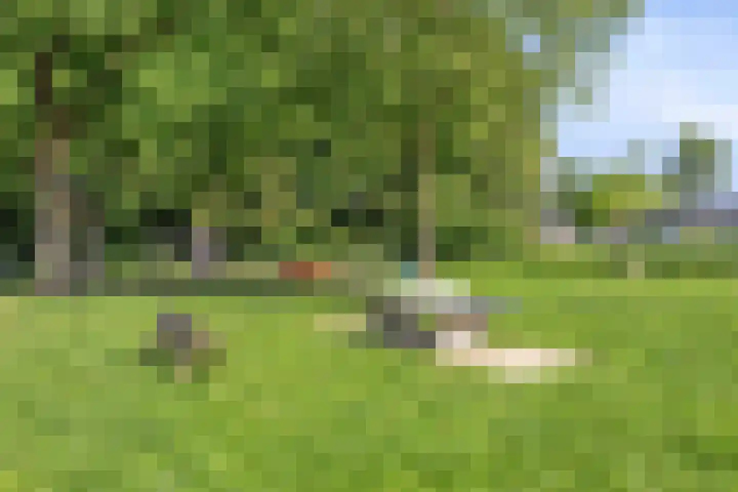 Zwollestraat 18 's-Hertogenbosch thumbnail 41