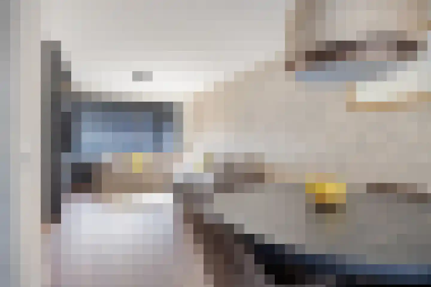 Zwollestraat 18 's-Hertogenbosch thumbnail 7