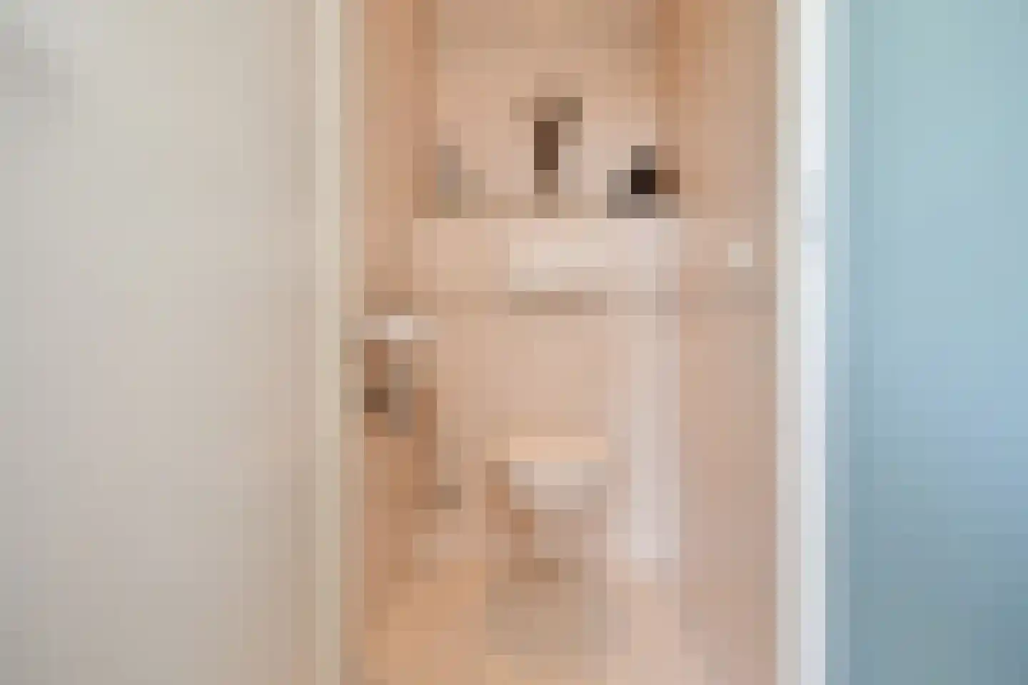 Zwolse Anjer 13 Nootdorp thumbnail 10