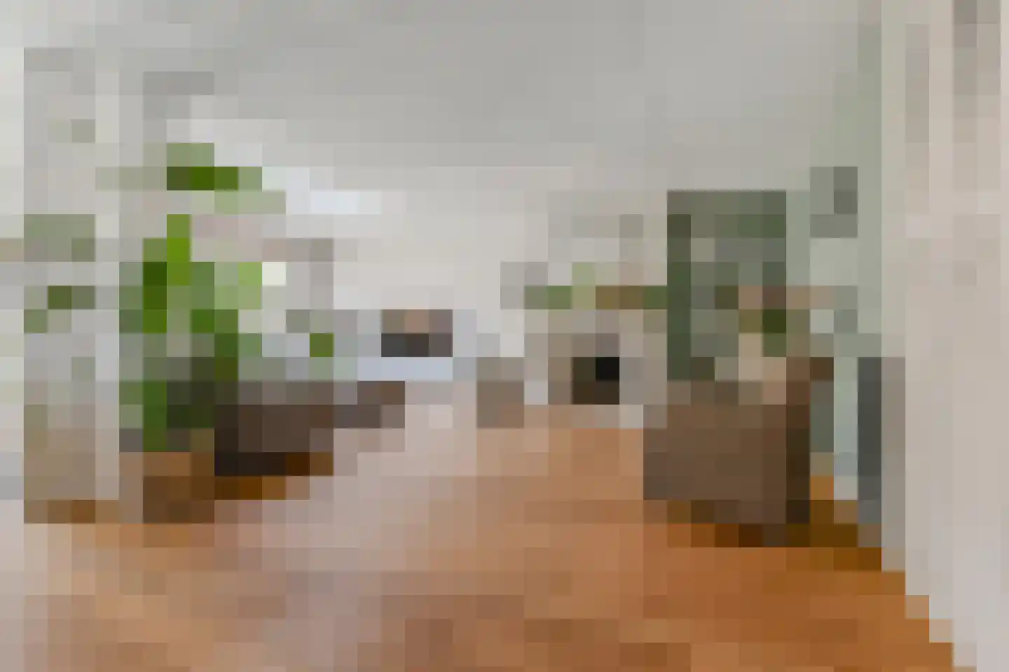 Zwolse Anjer 13 Nootdorp thumbnail 12