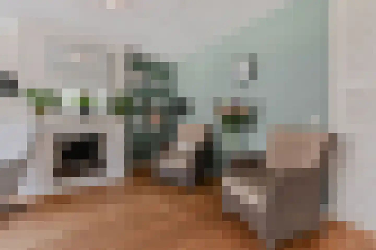 Zwolse Anjer 13 Nootdorp thumbnail 14