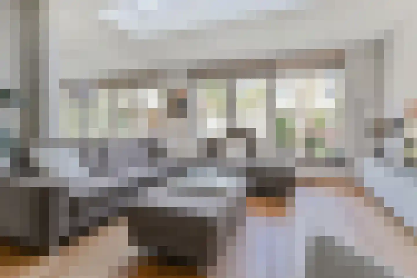 Zwolse Anjer 13 Nootdorp thumbnail 15