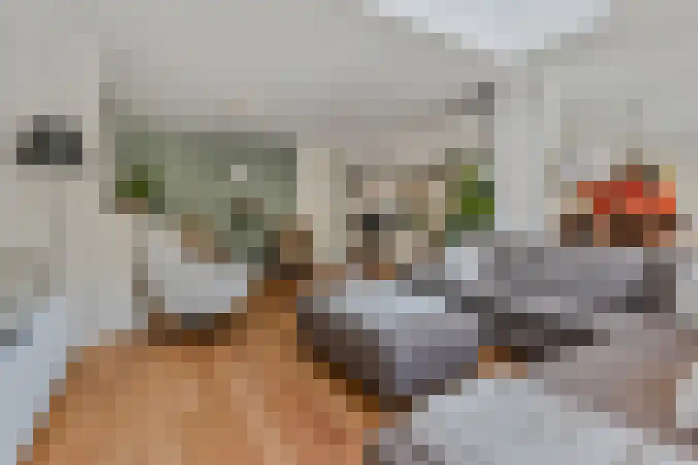 Zwolse Anjer 13 Nootdorp thumbnail 16