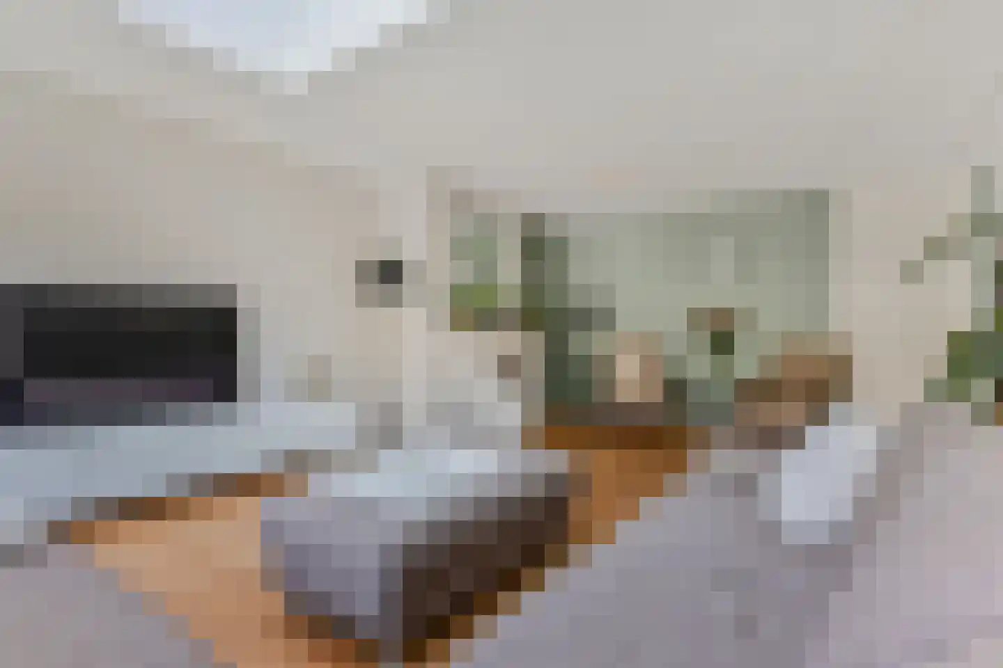 Zwolse Anjer 13 Nootdorp thumbnail 17