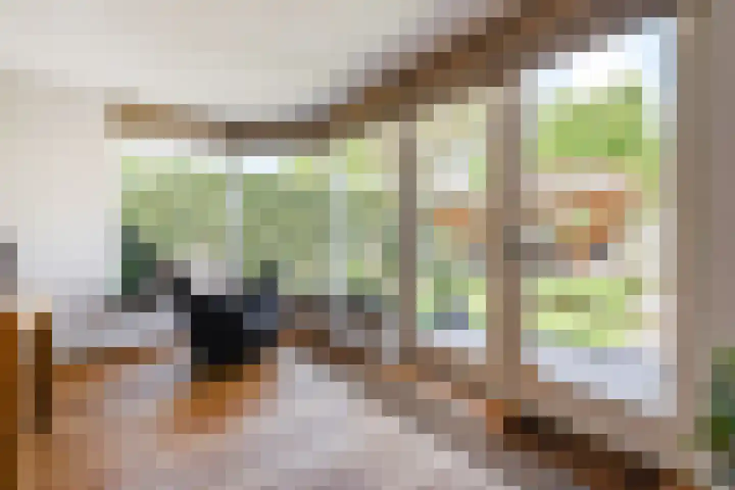 Zwolse Anjer 13 Nootdorp thumbnail 18