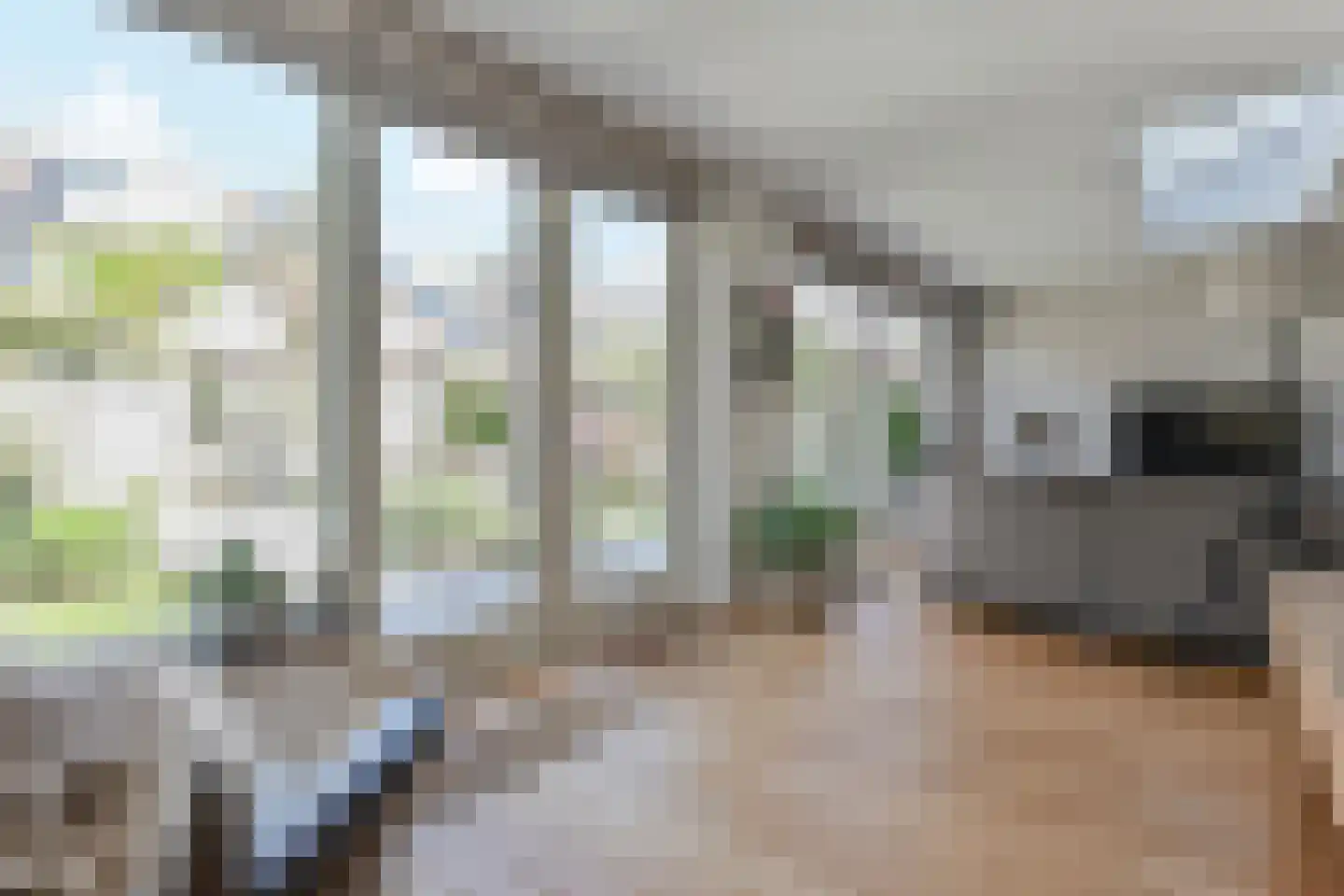 Zwolse Anjer 13 Nootdorp thumbnail 19
