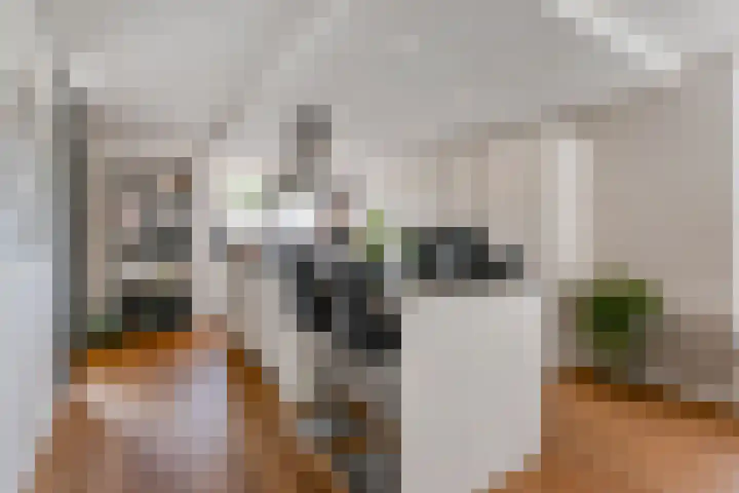 Zwolse Anjer 13 Nootdorp thumbnail 23