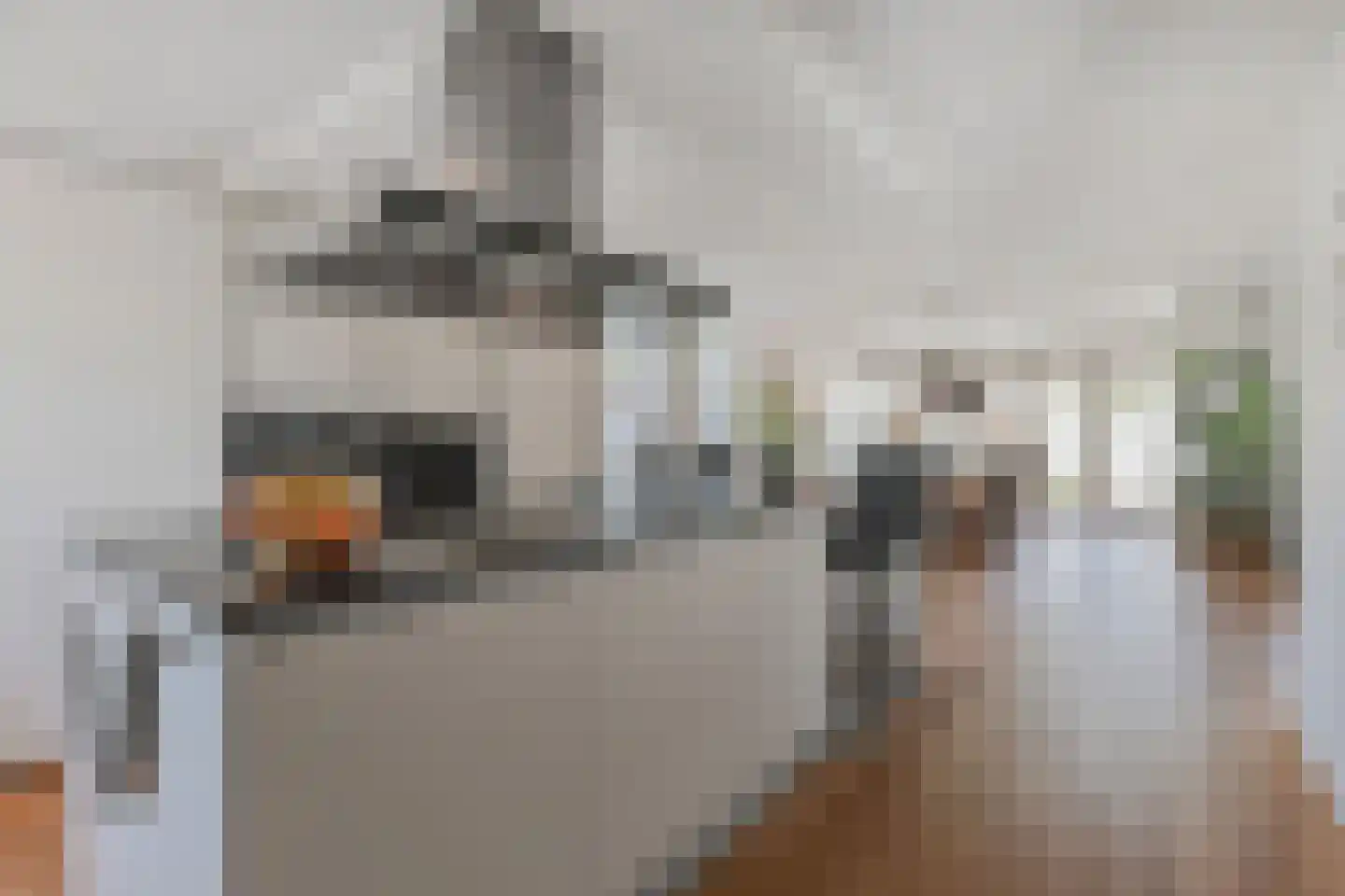 Zwolse Anjer 13 Nootdorp thumbnail 24