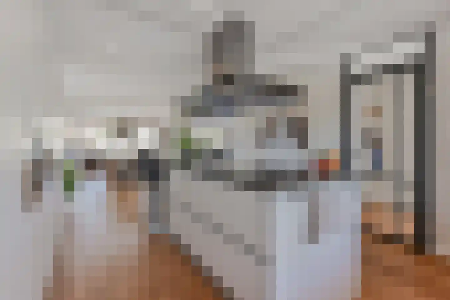 Zwolse Anjer 13 Nootdorp thumbnail 27