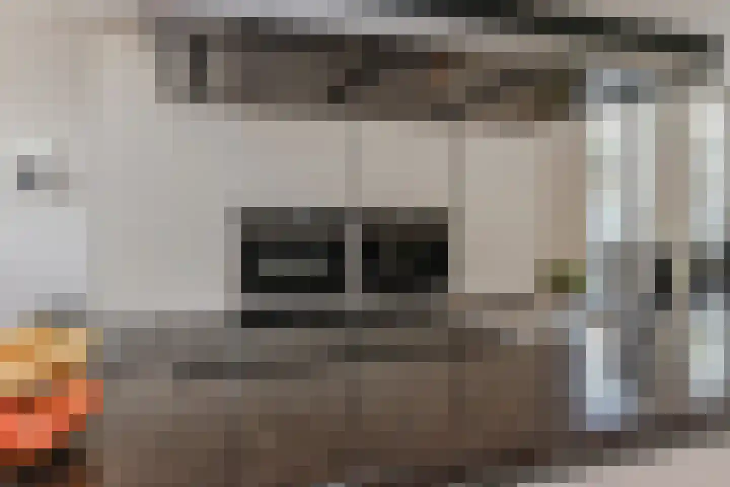 Zwolse Anjer 13 Nootdorp thumbnail 28