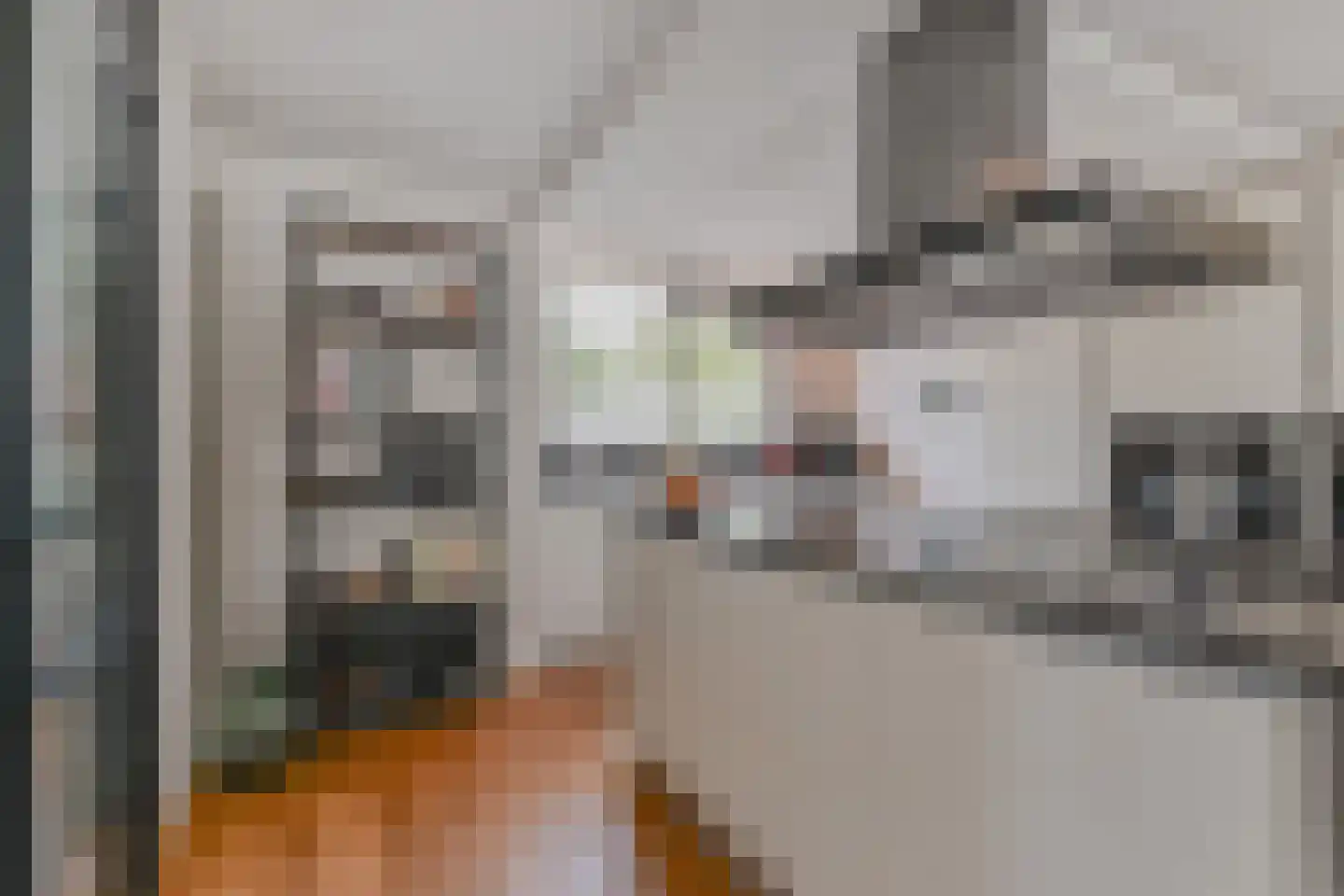 Zwolse Anjer 13 Nootdorp thumbnail 29