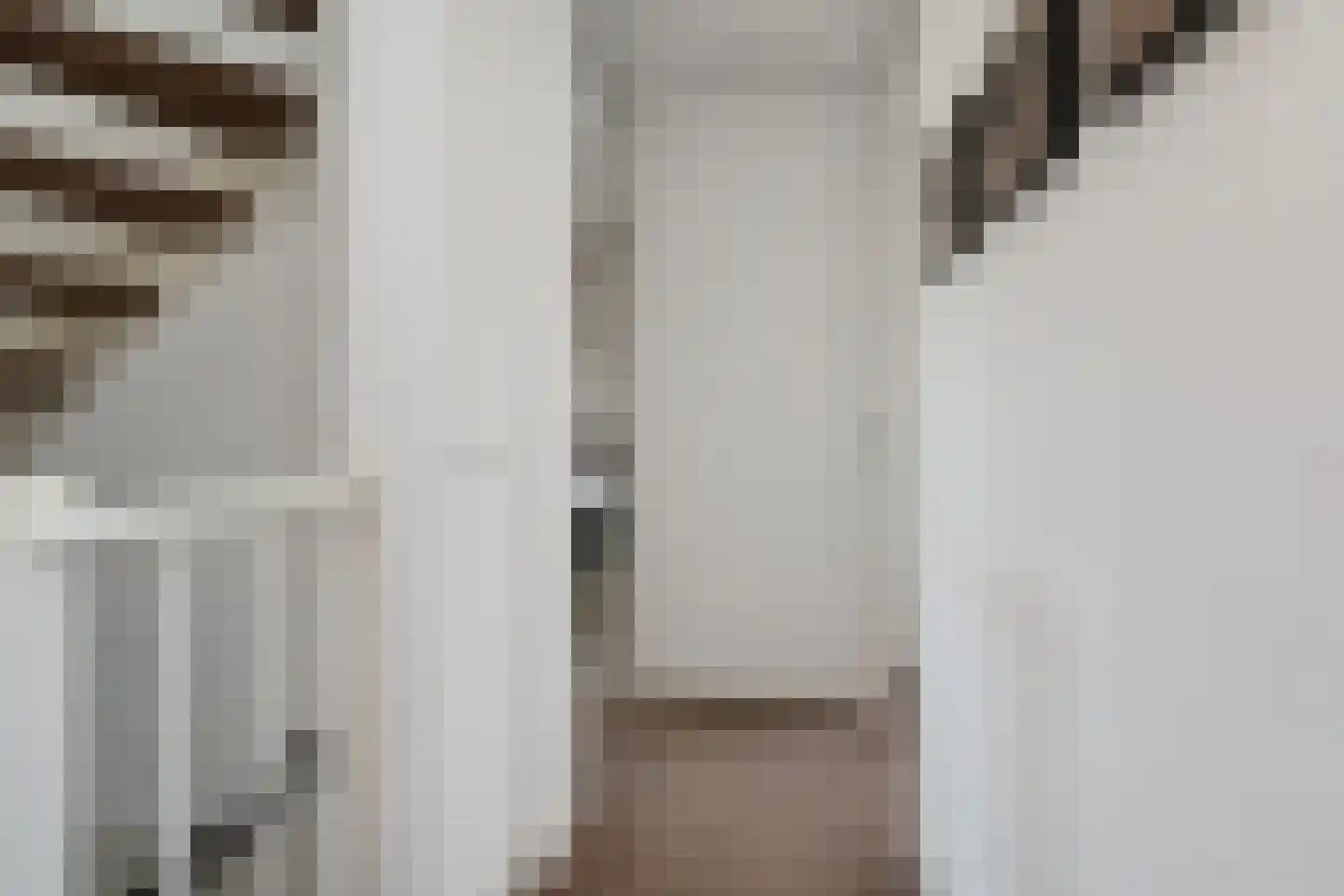 Zwolse Anjer 13 Nootdorp thumbnail 31