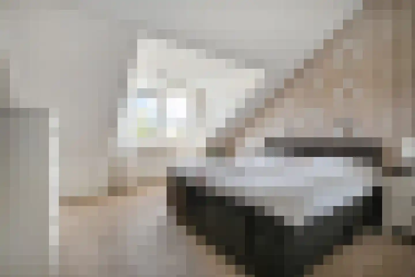Zwolse Anjer 13 Nootdorp thumbnail 32