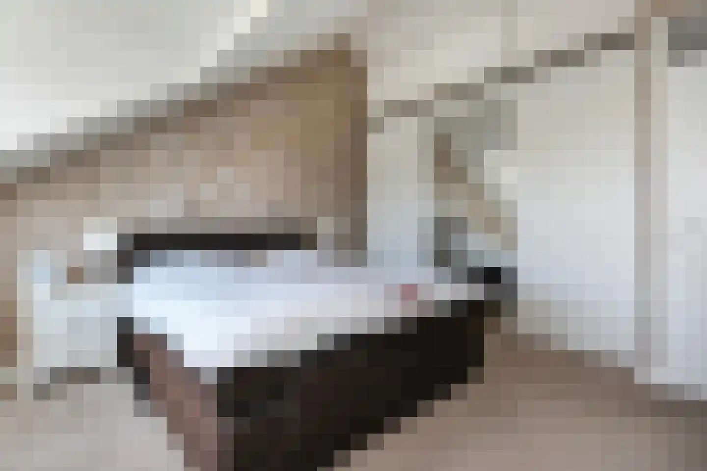 Zwolse Anjer 13 Nootdorp thumbnail 33