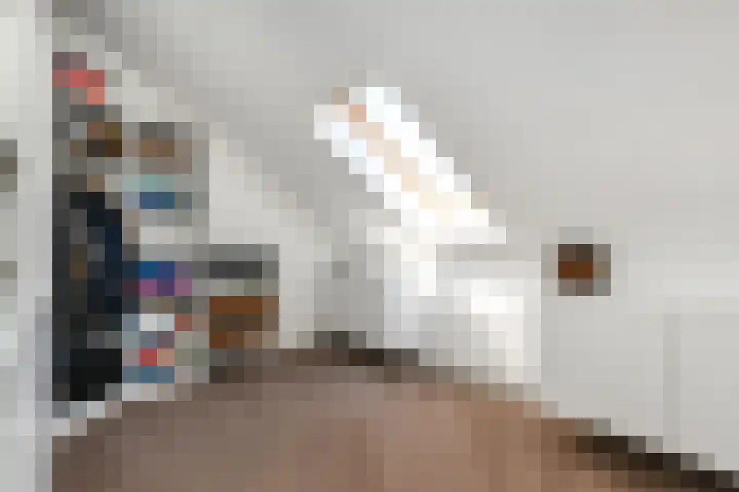 Zwolse Anjer 13 Nootdorp thumbnail 34