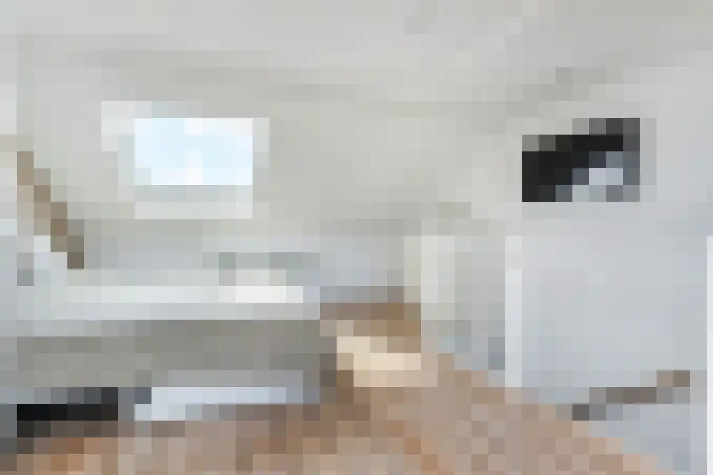 Zwolse Anjer 13 Nootdorp thumbnail 44