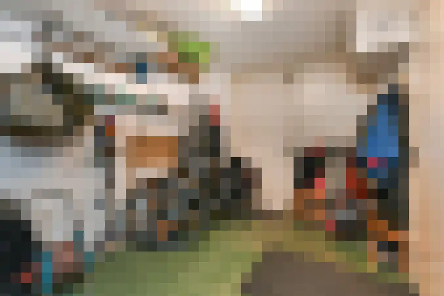 Zwolse Anjer 13 Nootdorp thumbnail 51