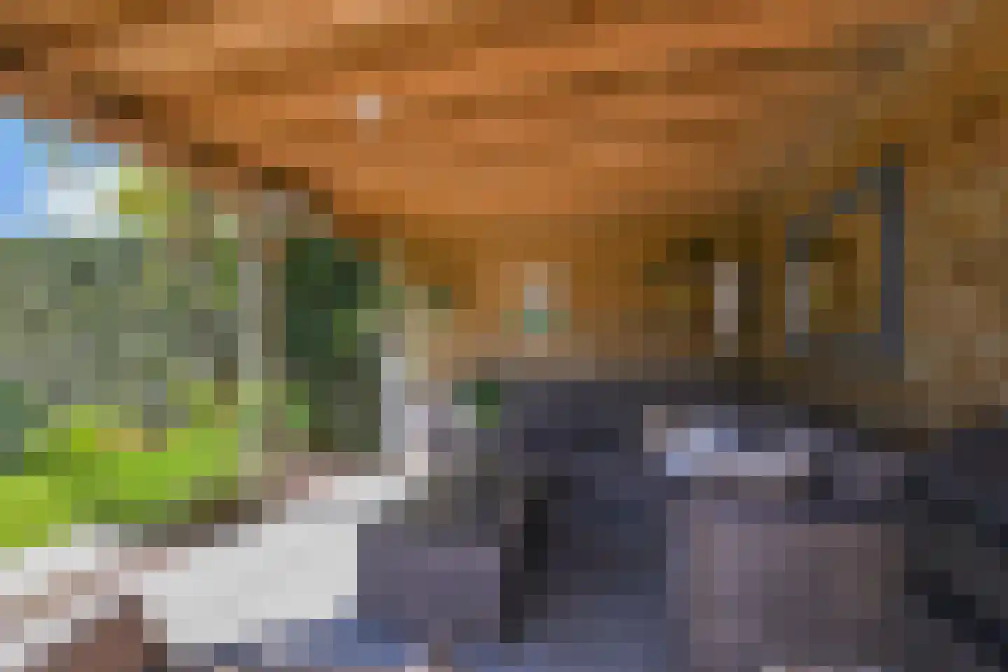 Zwolse Anjer 13 Nootdorp thumbnail 61