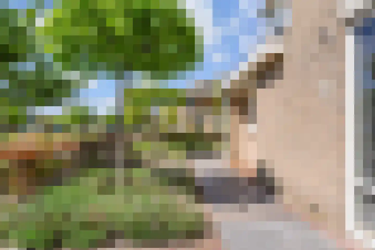 Zwolse Anjer 13 Nootdorp thumbnail 7