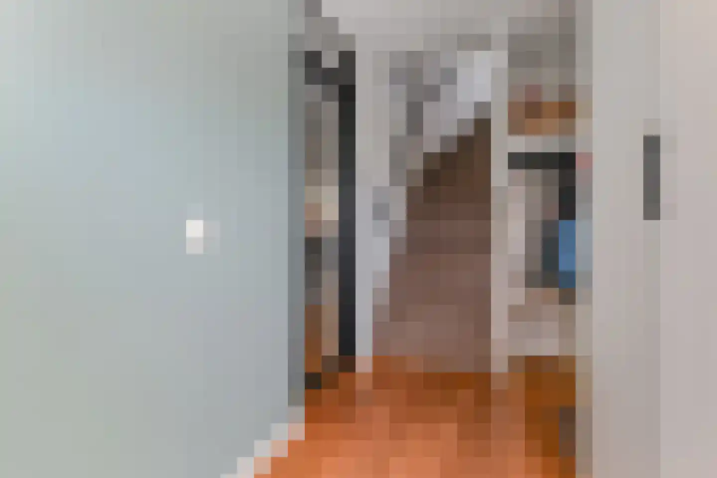 Zwolse Anjer 13 Nootdorp thumbnail 8