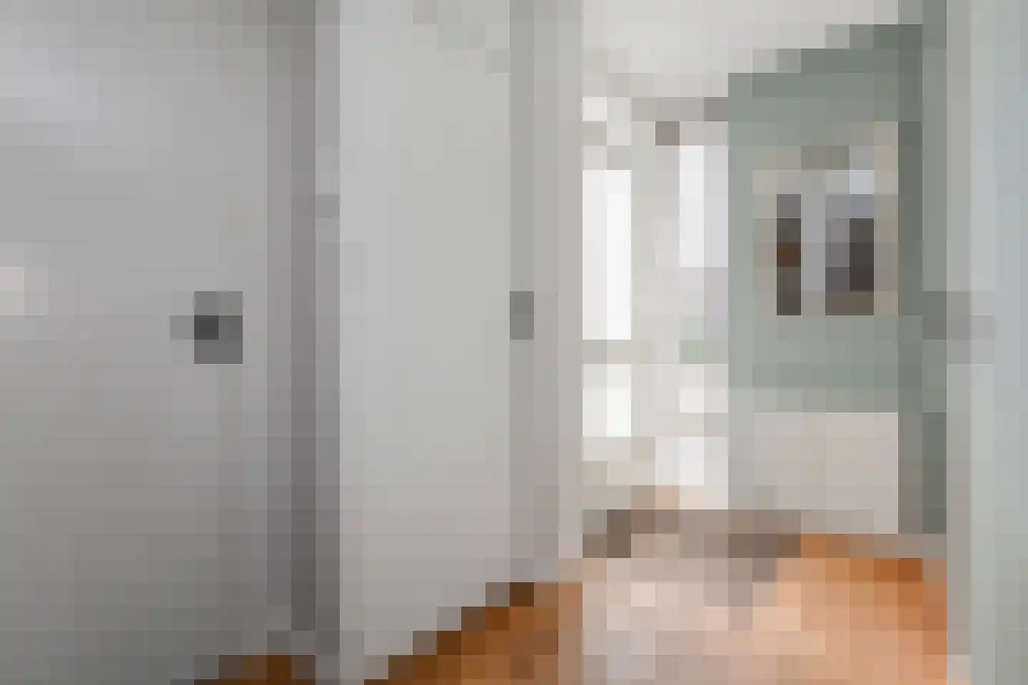 Zwolse Anjer 13 Nootdorp thumbnail 9