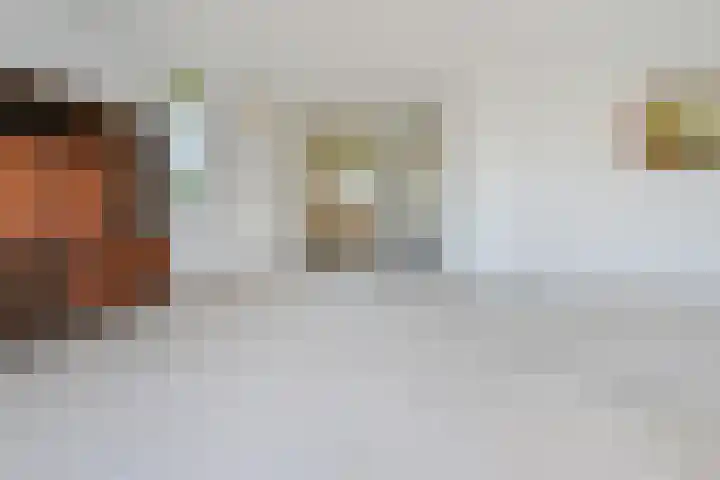 Zwolse Anjer 42 Nootdorp thumbnail 11