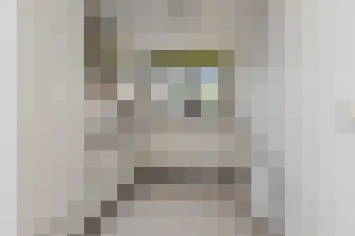 Zwolse Anjer 42 Nootdorp thumbnail 12