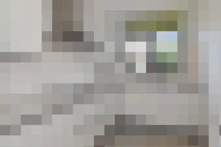 Zwolse Anjer 42 Nootdorp thumbnail 13