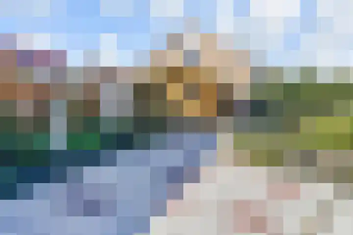 Zwolse Anjer 42 Nootdorp thumbnail 17