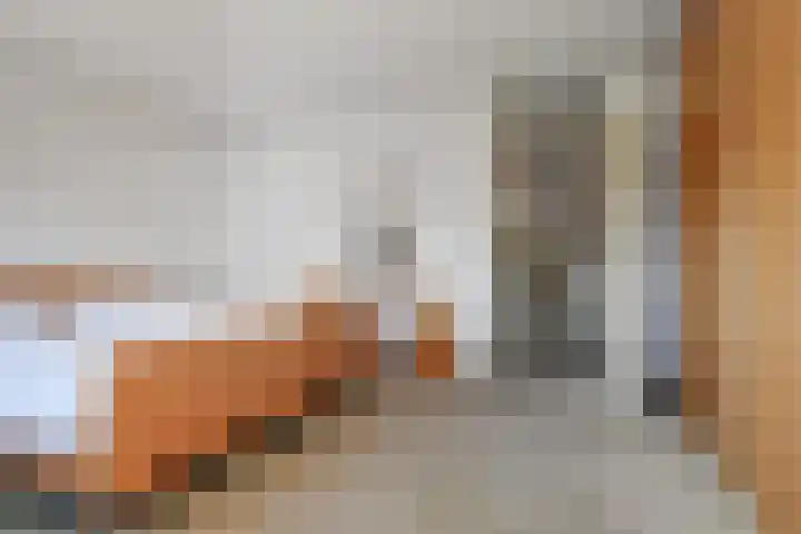 Zwolse Anjer 42 Nootdorp thumbnail 27
