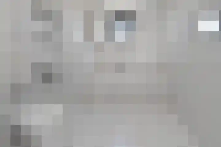 Zwolse Anjer 42 Nootdorp thumbnail 33