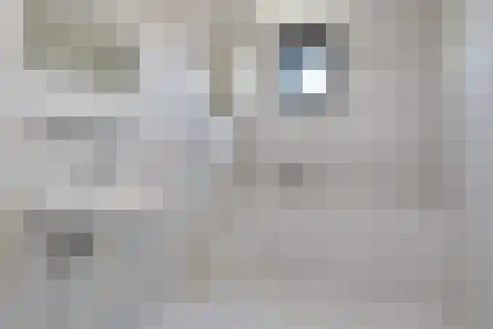 Zwolse Anjer 42 Nootdorp thumbnail 34