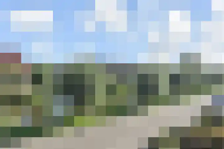 Zwolse Anjer 42 Nootdorp thumbnail 36